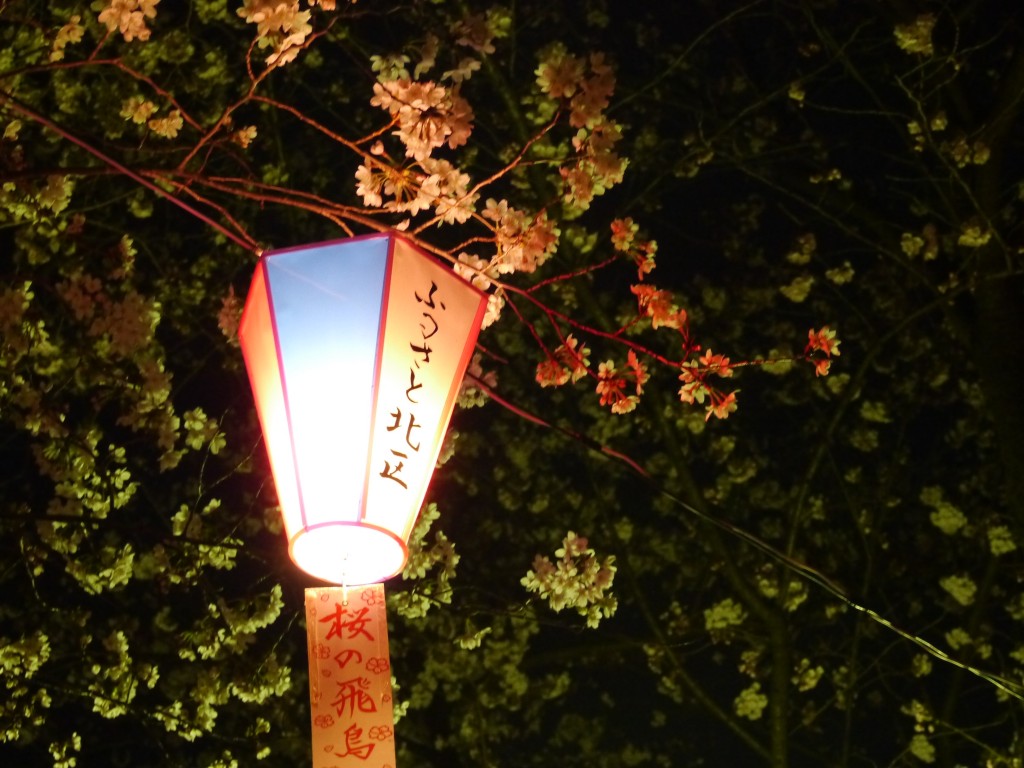 飛鳥山公園の桜20150328　LUMIX　GX1｜行政書士阿部総合事務所