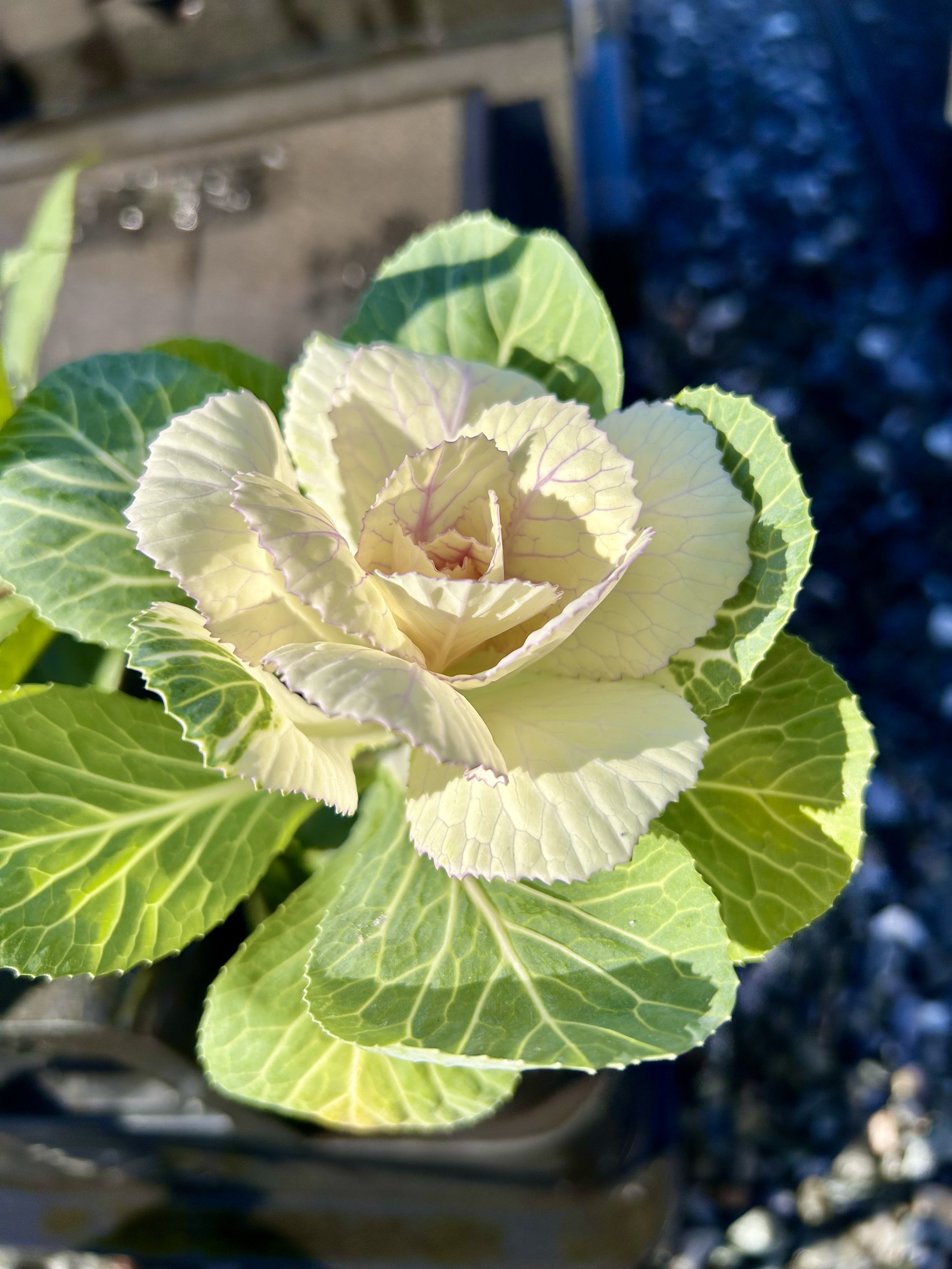 18年目の冬に、記憶をほどく｜行政書士阿部隆昭