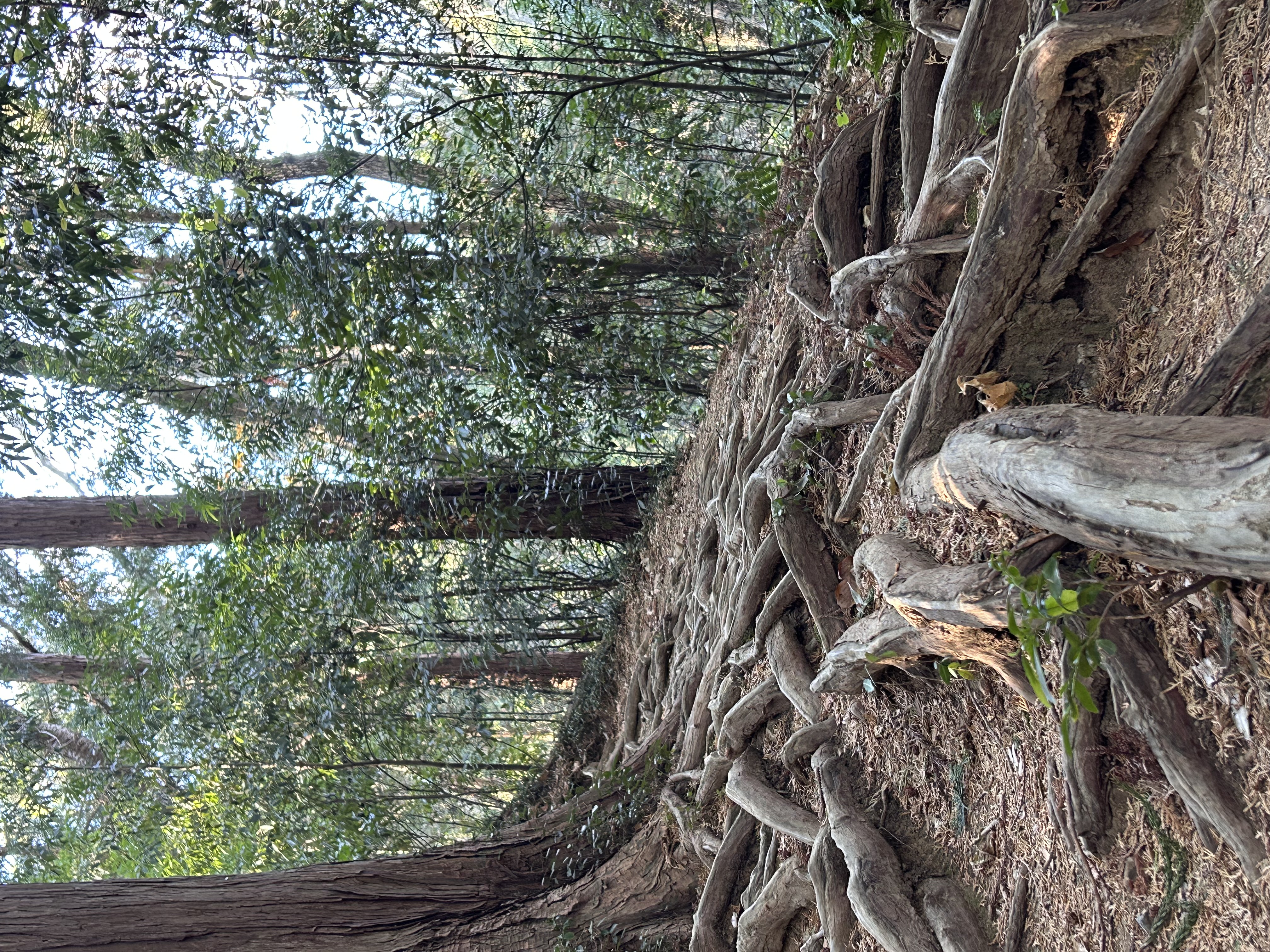 谷中の思考（境界線と専門職の誠実さ）｜行政書士阿部隆昭